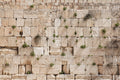 Jewish Kotel Wall Art Print - Green Vegetation on the Western Wall