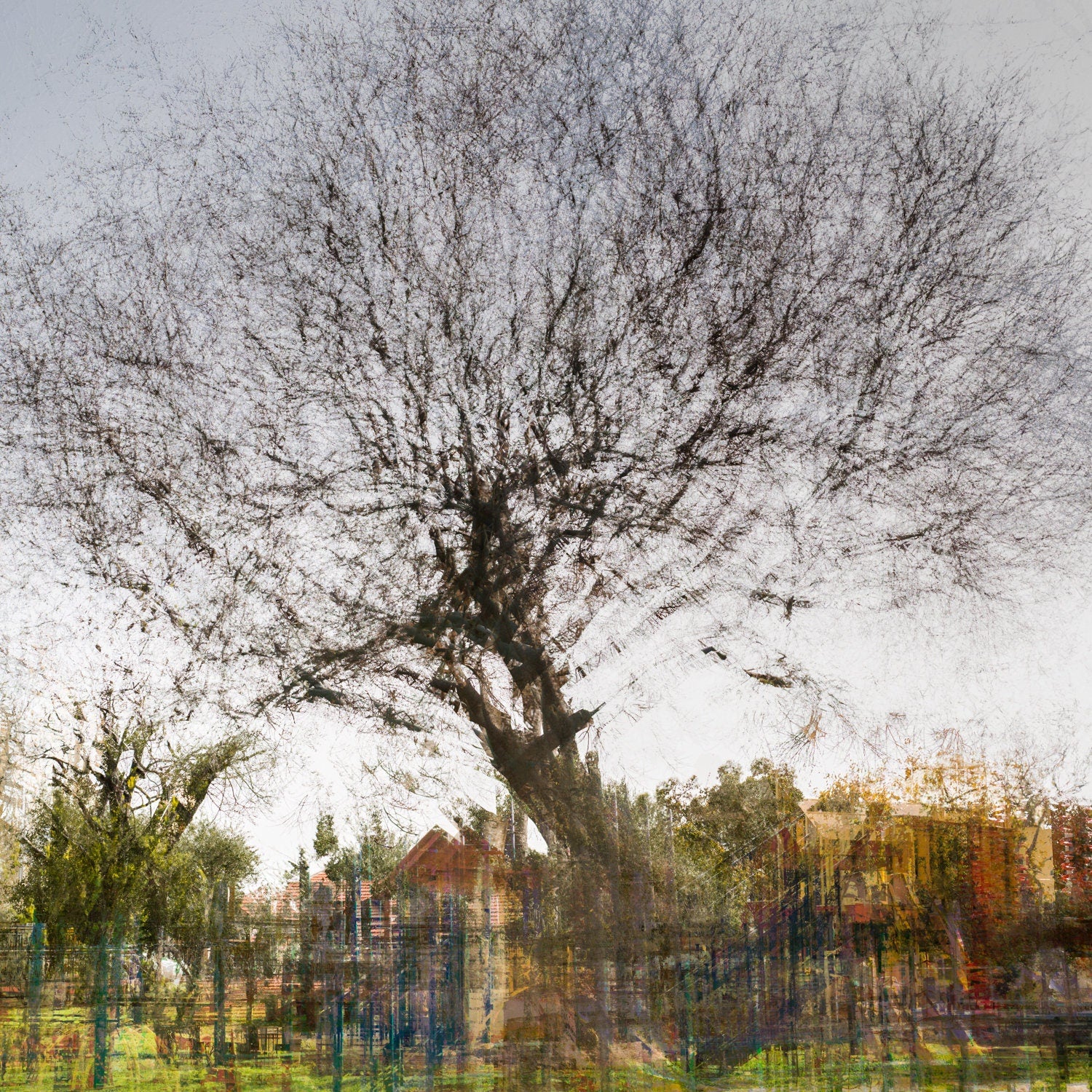 Tree Impressionist Painting — Bare oak tree during the winter