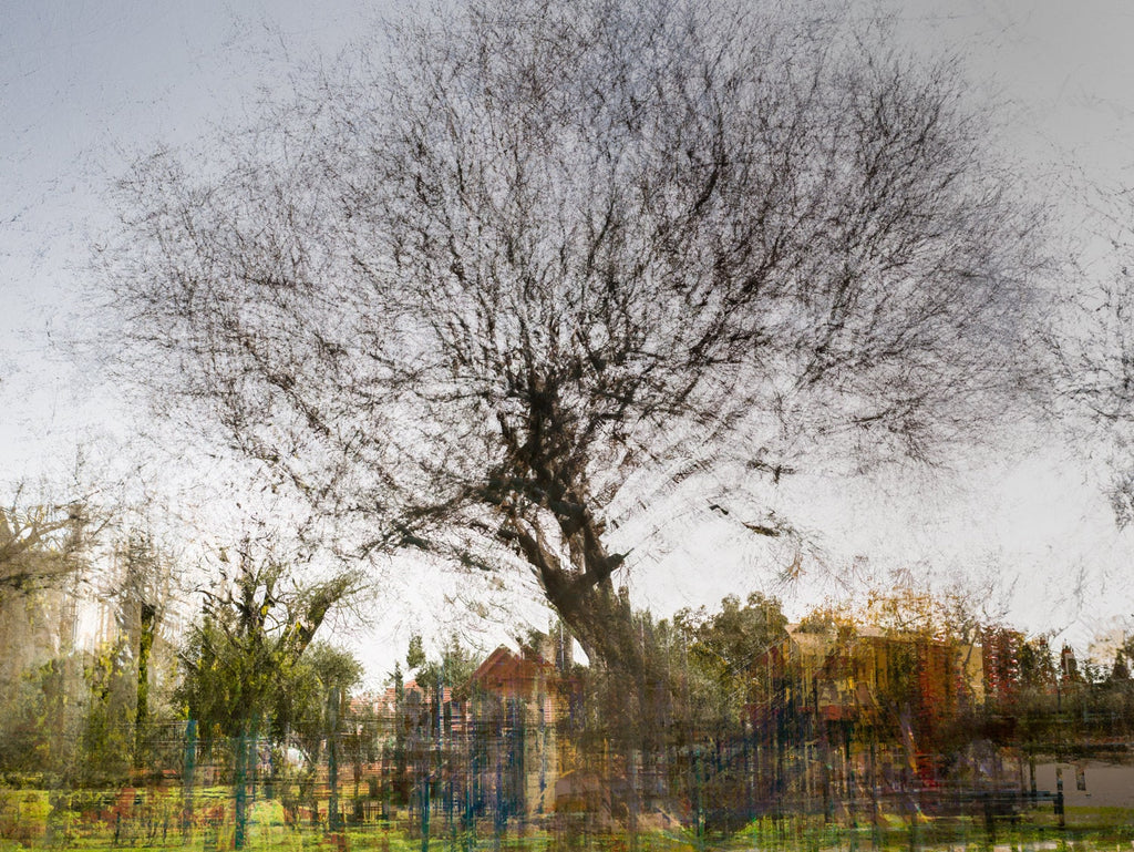 Tree Impressionist Painting — Bare oak tree during the winter