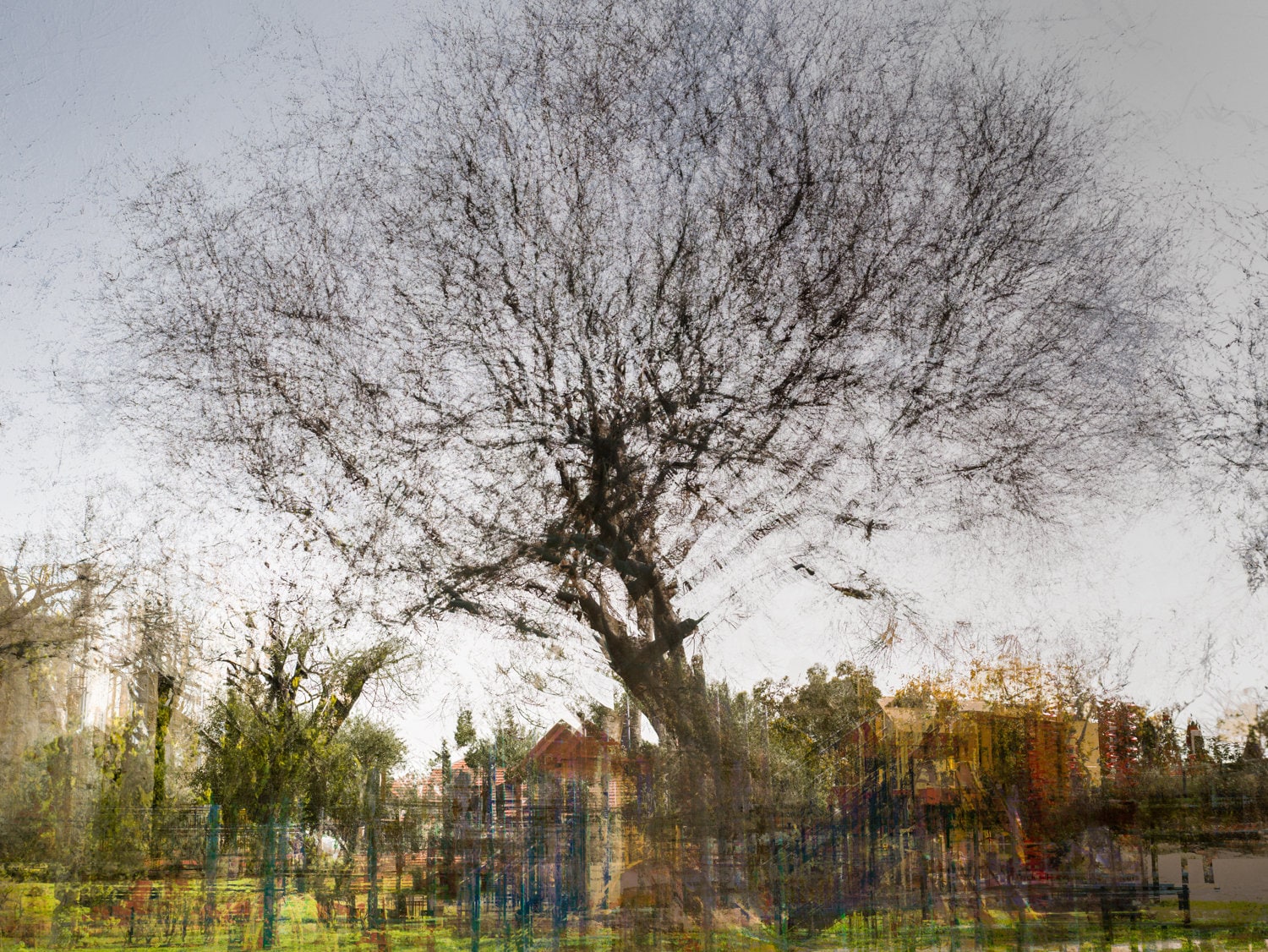 Tree Impressionist Painting — Bare oak tree during the winter