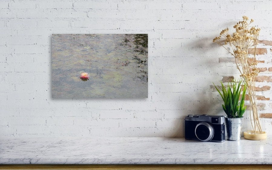 The Water Lily Flower on the Stream Impressionist Painting