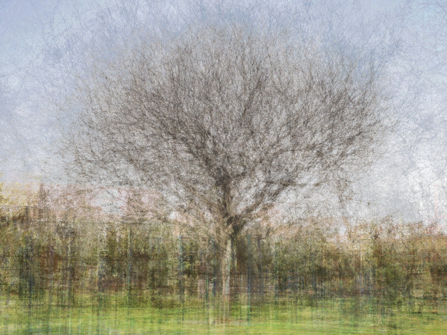 Oak Tree Impressionist Painting — Bare oak tree during the winter
