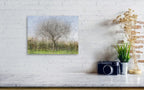 Oak Tree Impressionist Painting — Bare oak tree during the winter