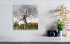 Tree Impressionist Painting — Bare oak tree during the winter