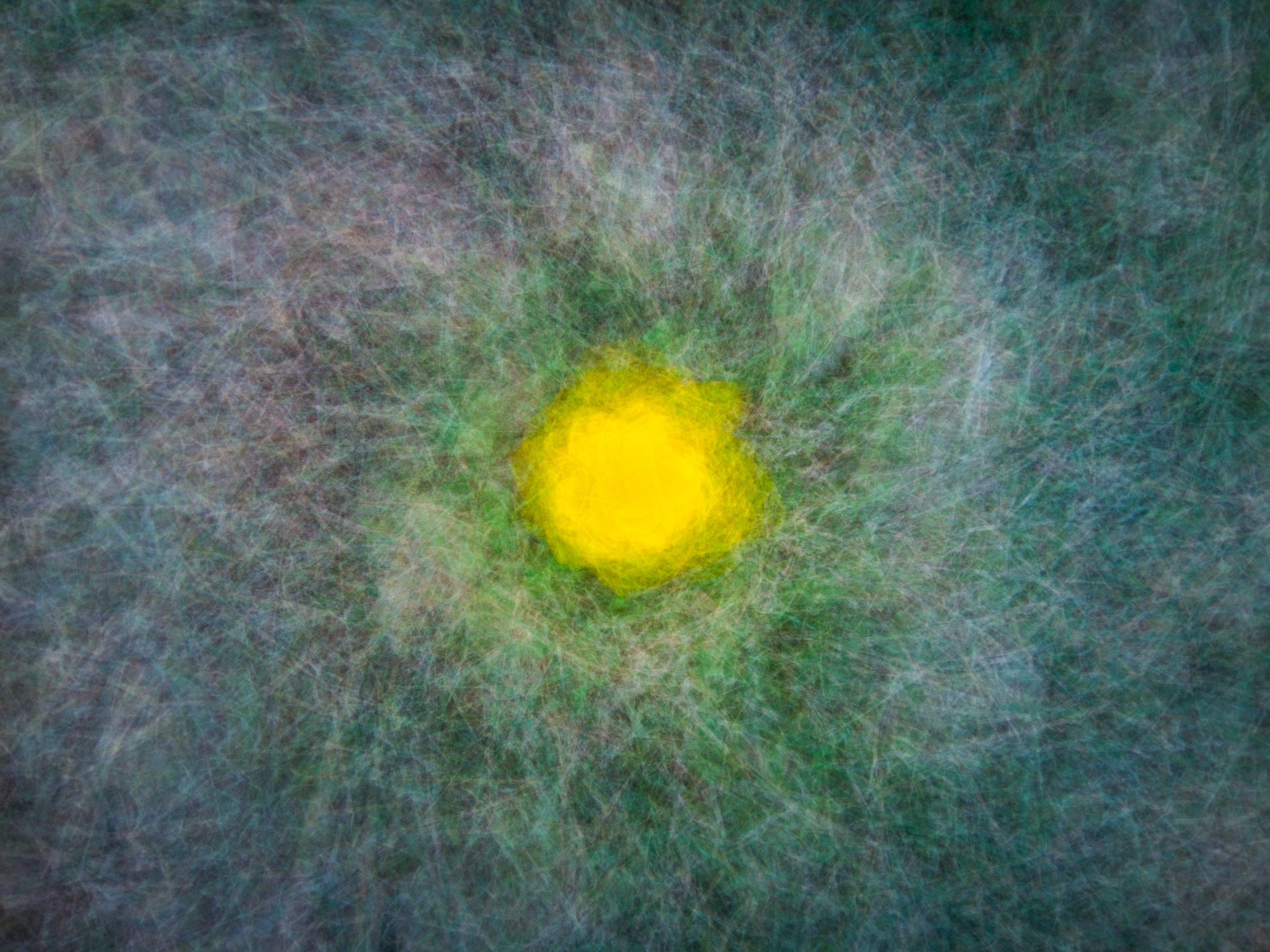 Yellow Flower Impressionist Painting: Abstract Fine Art Canvas Print