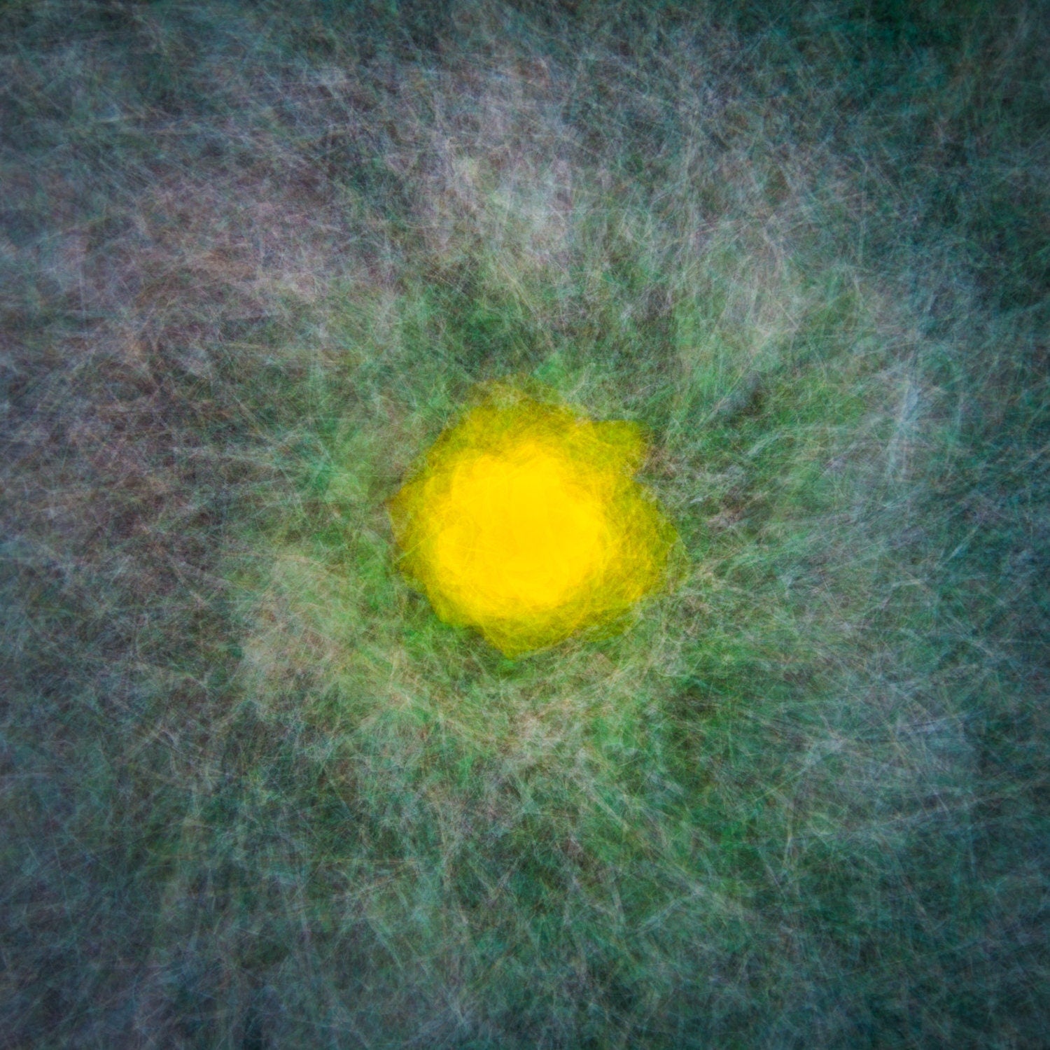 Yellow Flower Impressionist Painting: Abstract Fine Art Canvas Print