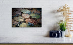 Colorful Israeli Hamsa Hands — Judaica Wall Art Israel Photography