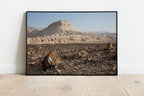 Israeli Holy Land Negev Desert Mountain Rocks Landscape Photography