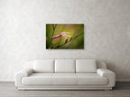 Macro Pink Israeli Flower — Pink Gaura Whirling Butterfly Flower with Green Background