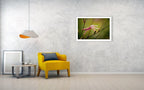 Macro Pink Israeli Flower — Pink Gaura Whirling Butterfly Flower with Green Background