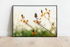 Israel Holy Land Orange and Green Blubine Flowers