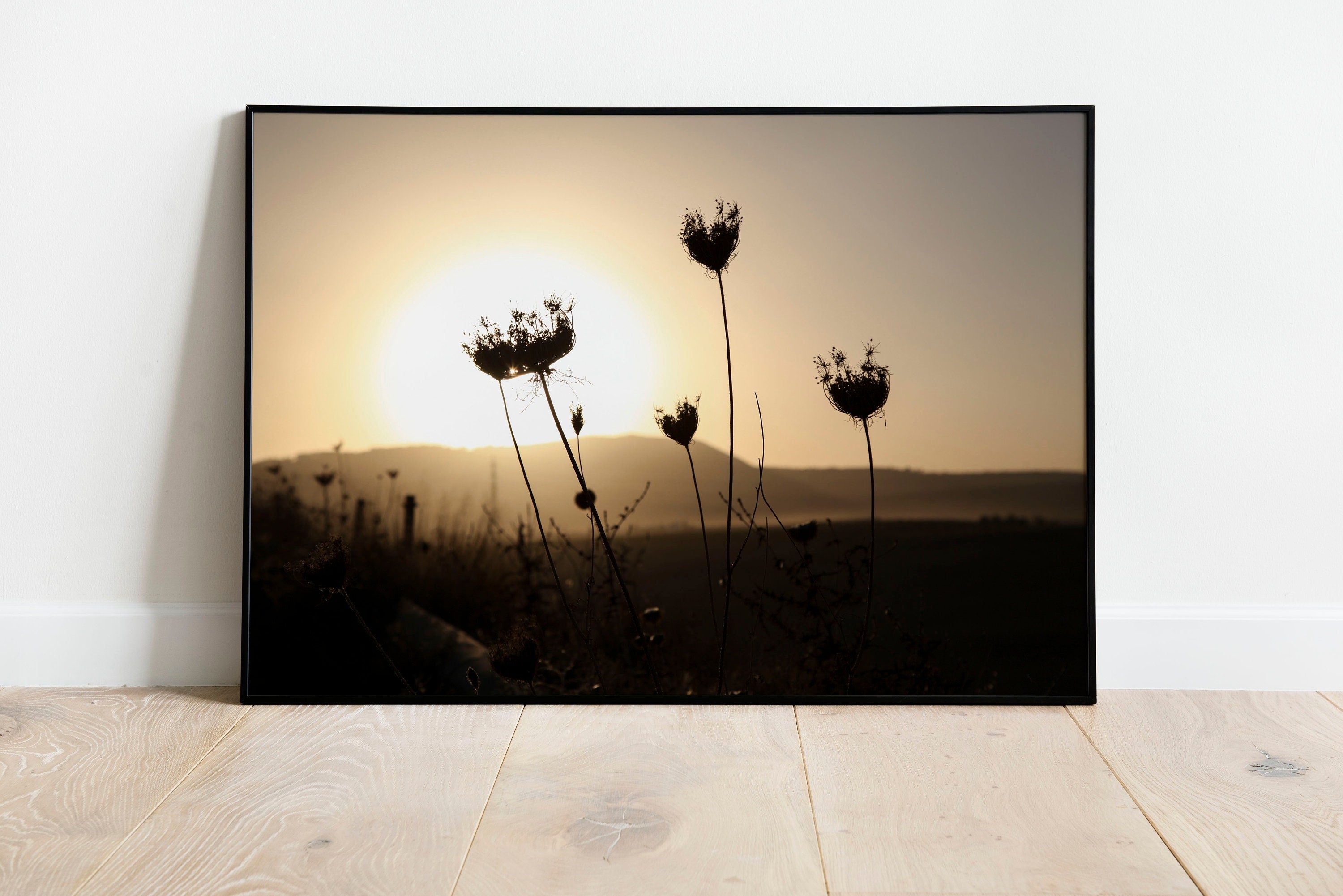 Israel Sunset Landscape Flowers Shadow with Sun Halo and Galil Mountains