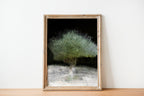 The Green Olive Tree Impressionist Painting by Night - National Tree of the Holy Land Israel - 7 Species of Israel