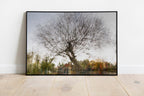 Tree Impressionist Painting — Bare oak tree during the winter