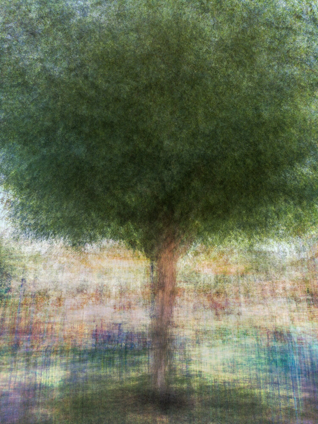 Holy Land Colorful Tree Impressionist Painting