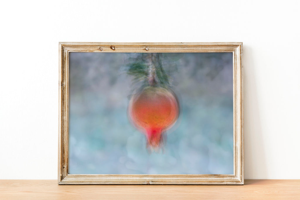 Holy Land Pomegranate Impressionist Painting — 7 species of Israel