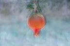Holy Land Pomegranate Impressionist Painting — 7 species of Israel