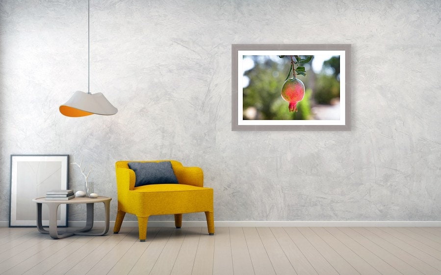 Israeli Pomegranate — Red Fruit of Israel — 7 species of Israel