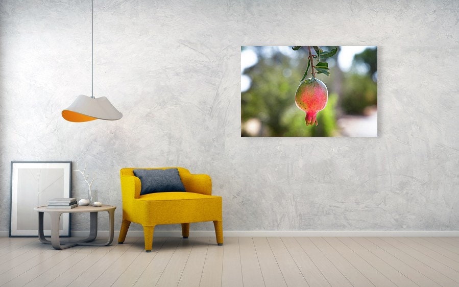 Israeli Pomegranate — Red Fruit of Israel — 7 species of Israel