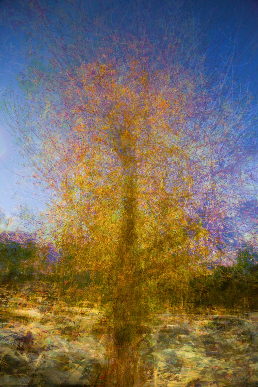 Gold Tree Painting by Night — Canvas