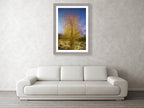Gold Tree Painting by Night — Canvas