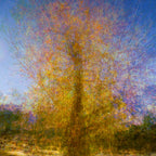 Gold Tree Painting by Night — Canvas