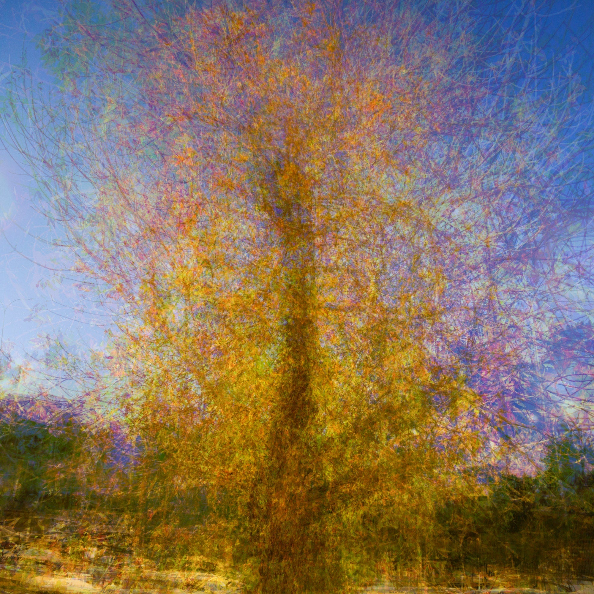 Gold Tree Painting by Night — Canvas