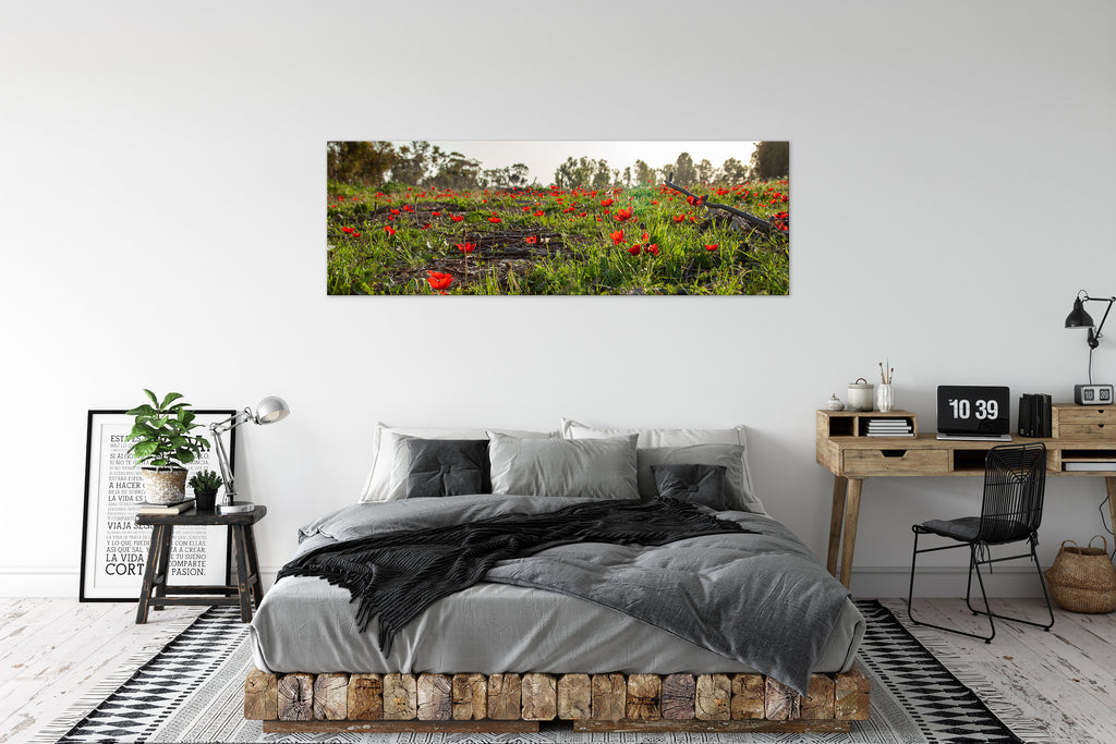 Panoramic Red Wild Flowers Field — Holy Land Israeli Landscape