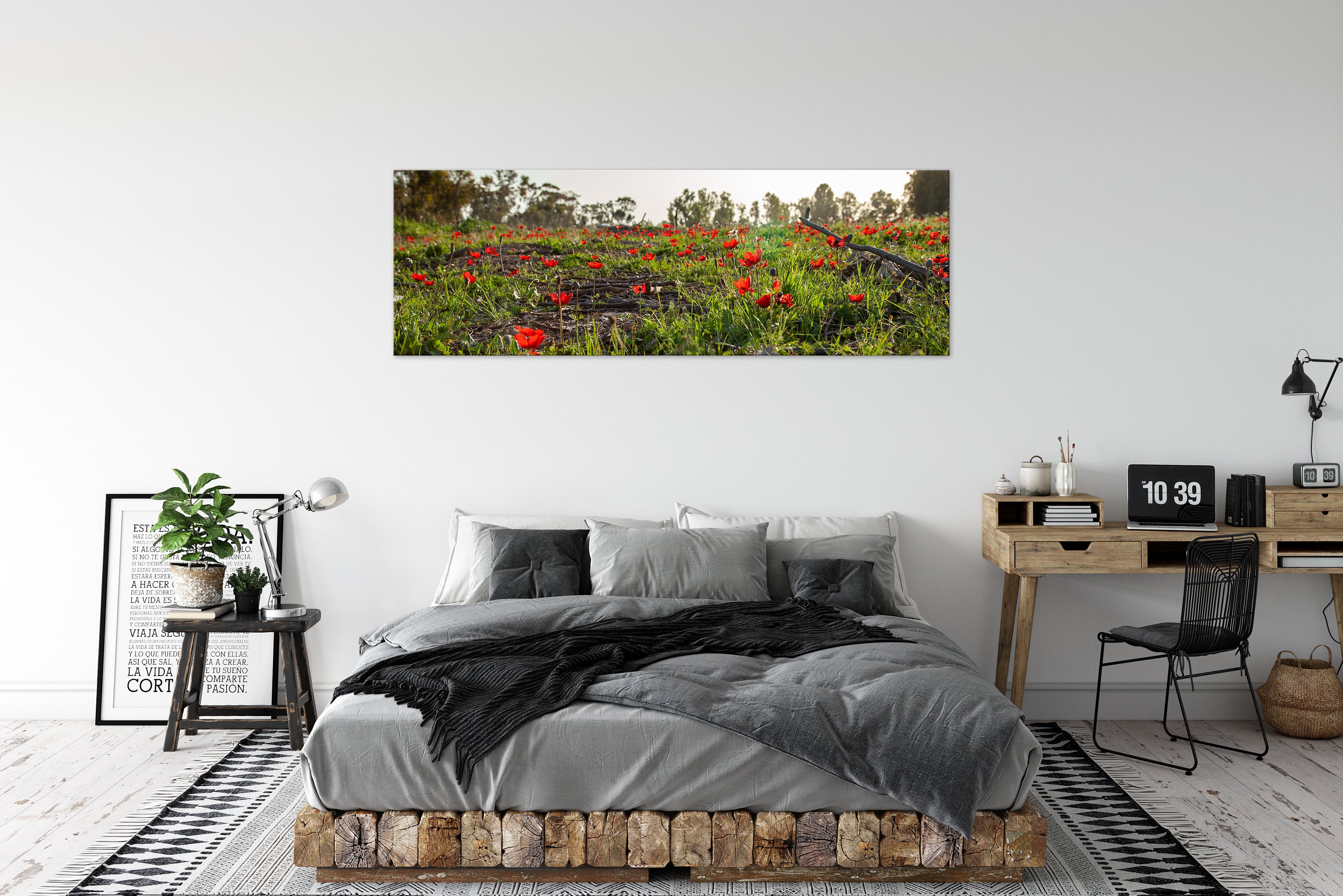 Panoramic Red Wild Flowers Field — Holy Land Israeli Landscape