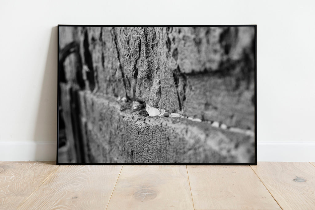 Black and White Jewish Kotel Wall Fine Art Print - Western Wall with Prayer Hand & Paper Notes between Stones - A Wailing Wall Kosel Canvas