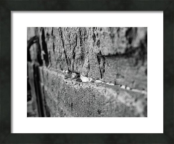 Black and White Jewish Kotel Wall Fine Art Print - Western Wall with Prayer Hand & Paper Notes between Stones - A Wailing Wall Kosel Canvas