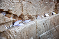Praying Paper Notes in the Kotel Western Wall — Jerusalem Jewish Stones