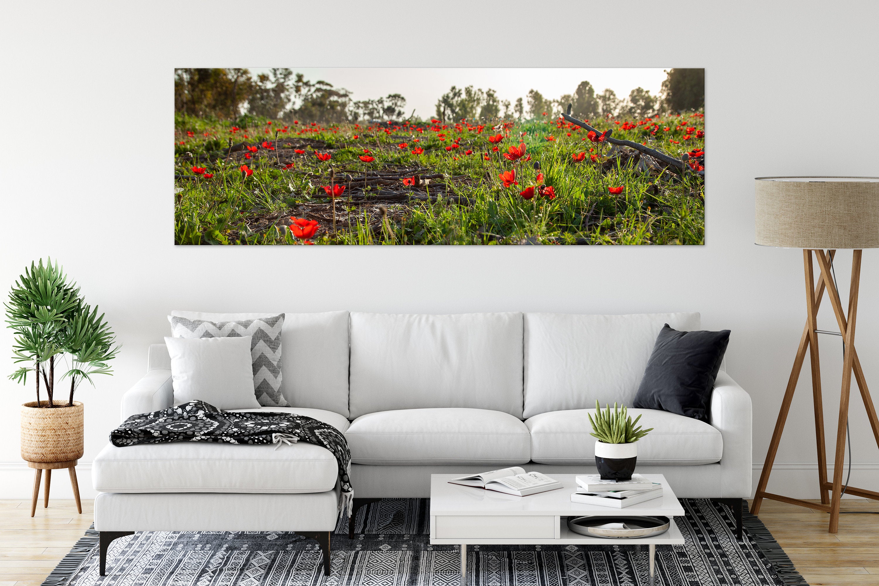 Panoramic Red Wild Flowers Field — Holy Land Israeli Landscape