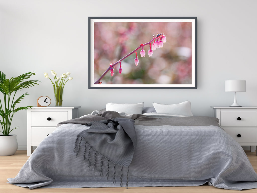Pink Flower Photography — Blueberry Fruit Flower — Blooming — Blueberry Blossom Zoom — Macro Flowering Wall