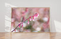 Pink Flower Photography — Blueberry Fruit Flower — Blooming — Blueberry Blossom Zoom — Macro Flowering Wall
