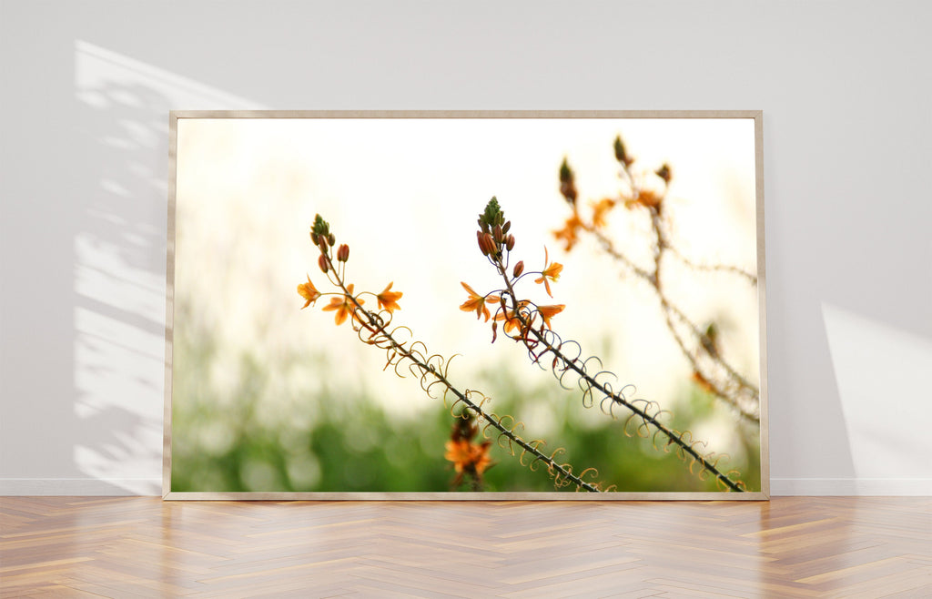 Israel Holy Land Orange and Green Blubine Flowers
