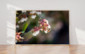 Bee White Flower Photography - Bee Collecting Pollen in Blueberry Flower - Blooming Fine Art Print - Blueberry Blossom - Flowering Wall Deco