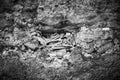 Black and White Israeli Jewish Kotel — Prayer Notes In a Western Wall Stone