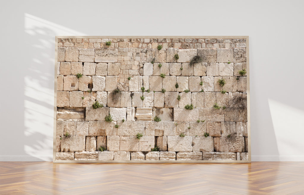 Jewish Kotel Wall Art Print - Green Vegetation on the Western Wall