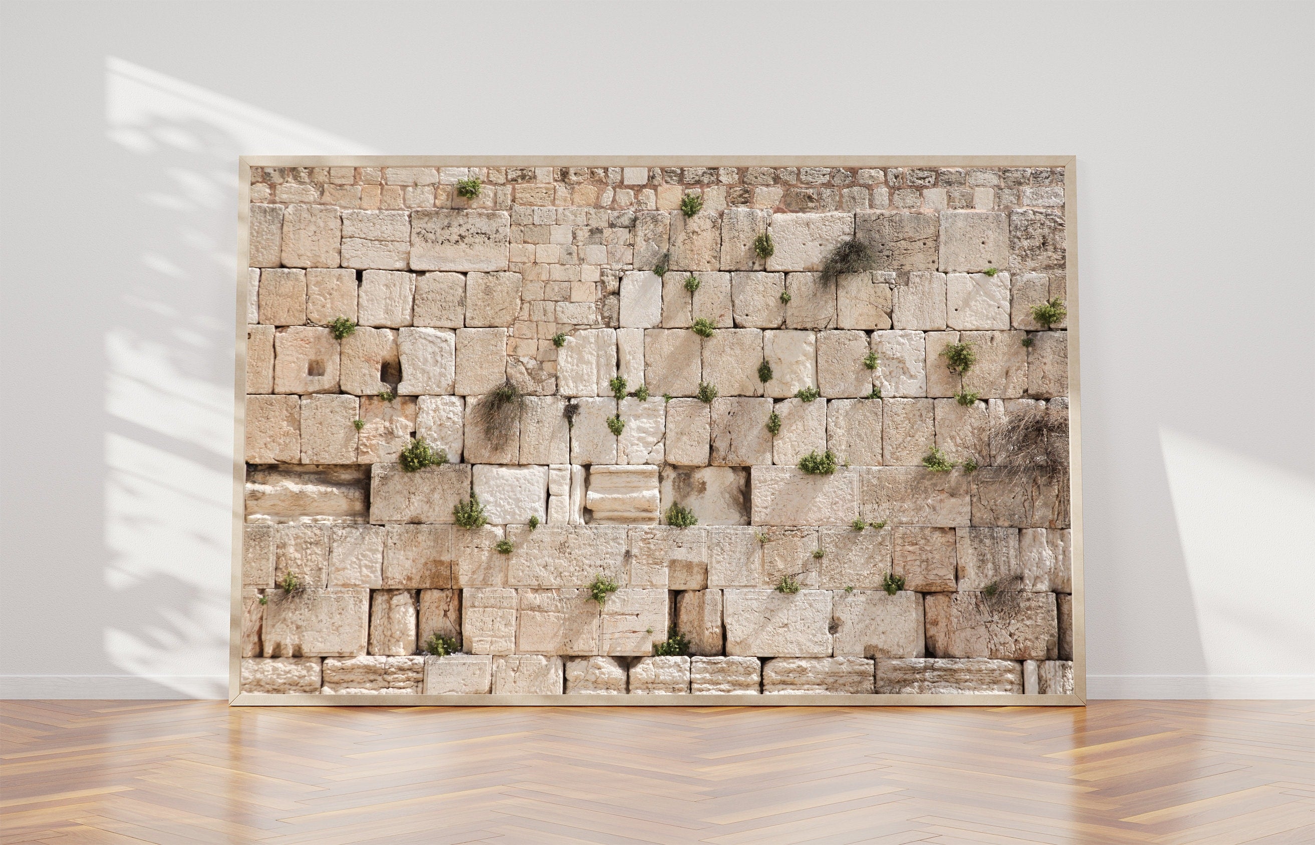 Jewish Kotel Wall Art Print - Green Vegetation on the Western Wall