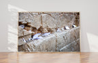 Praying Paper Notes in the Kotel Western Wall — Jerusalem Jewish Stones