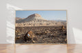Israeli Holy Land Negev Desert Mountain Rocks Landscape Photography