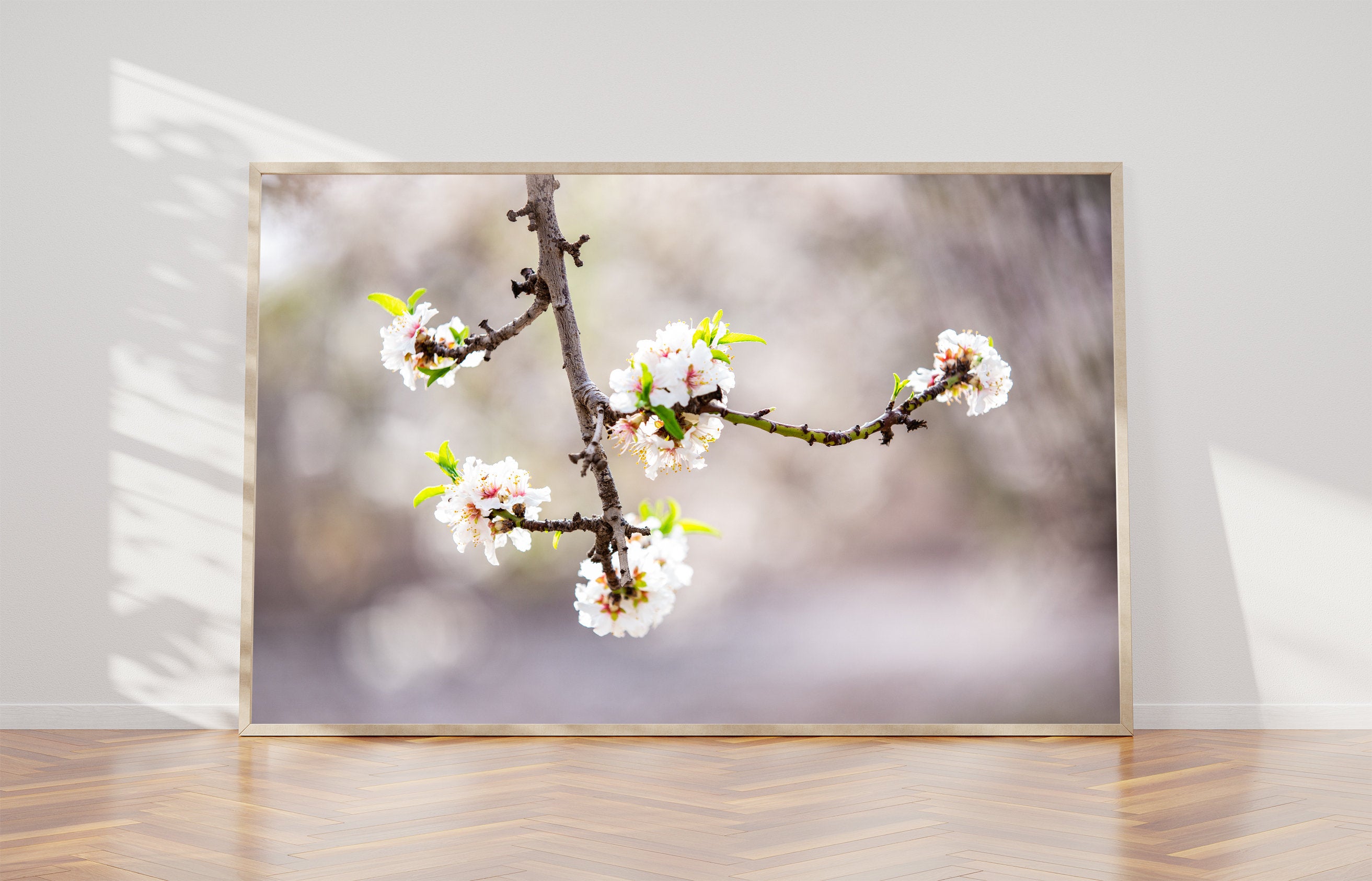 Trunk Almond Blossom Flowers