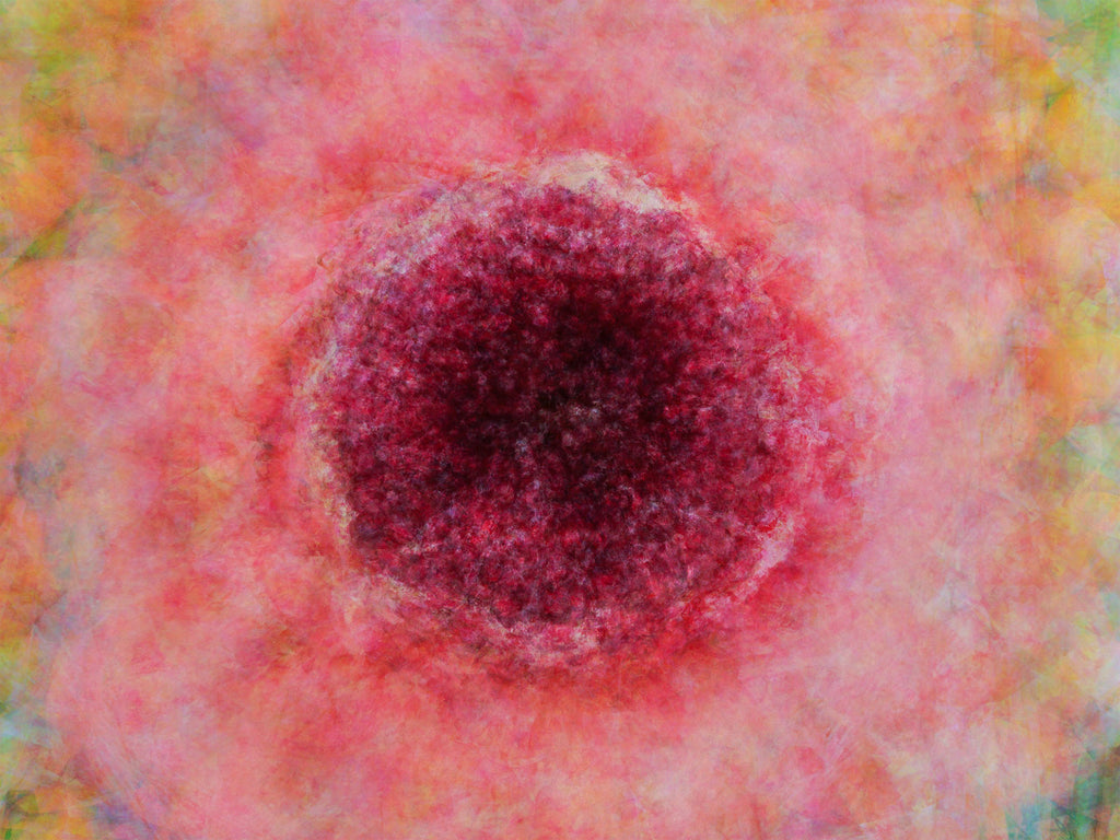 Impressionist Red Pink Pomegranate Painting Canvas Wrap — 7 species of Israel