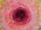 Impressionist Red Pink Pomegranate Painting Canvas Wrap — 7 species of Israel