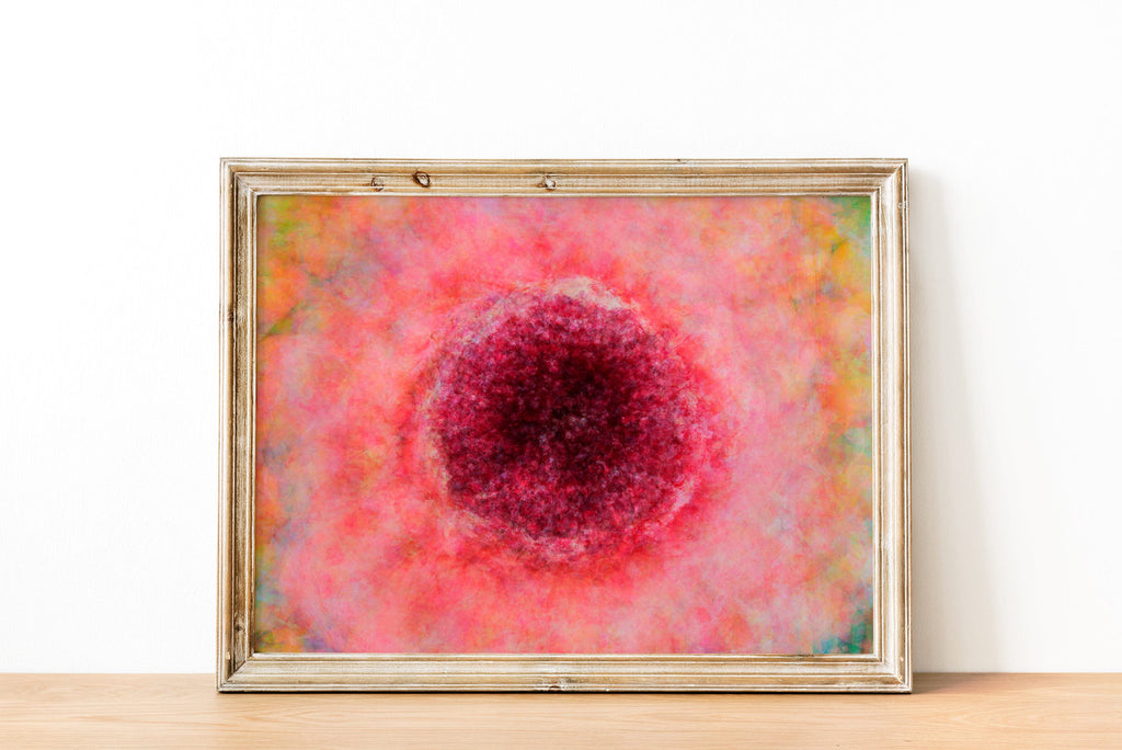 Impressionist Red Pink Pomegranate Painting Canvas Wrap — 7 species of Israel