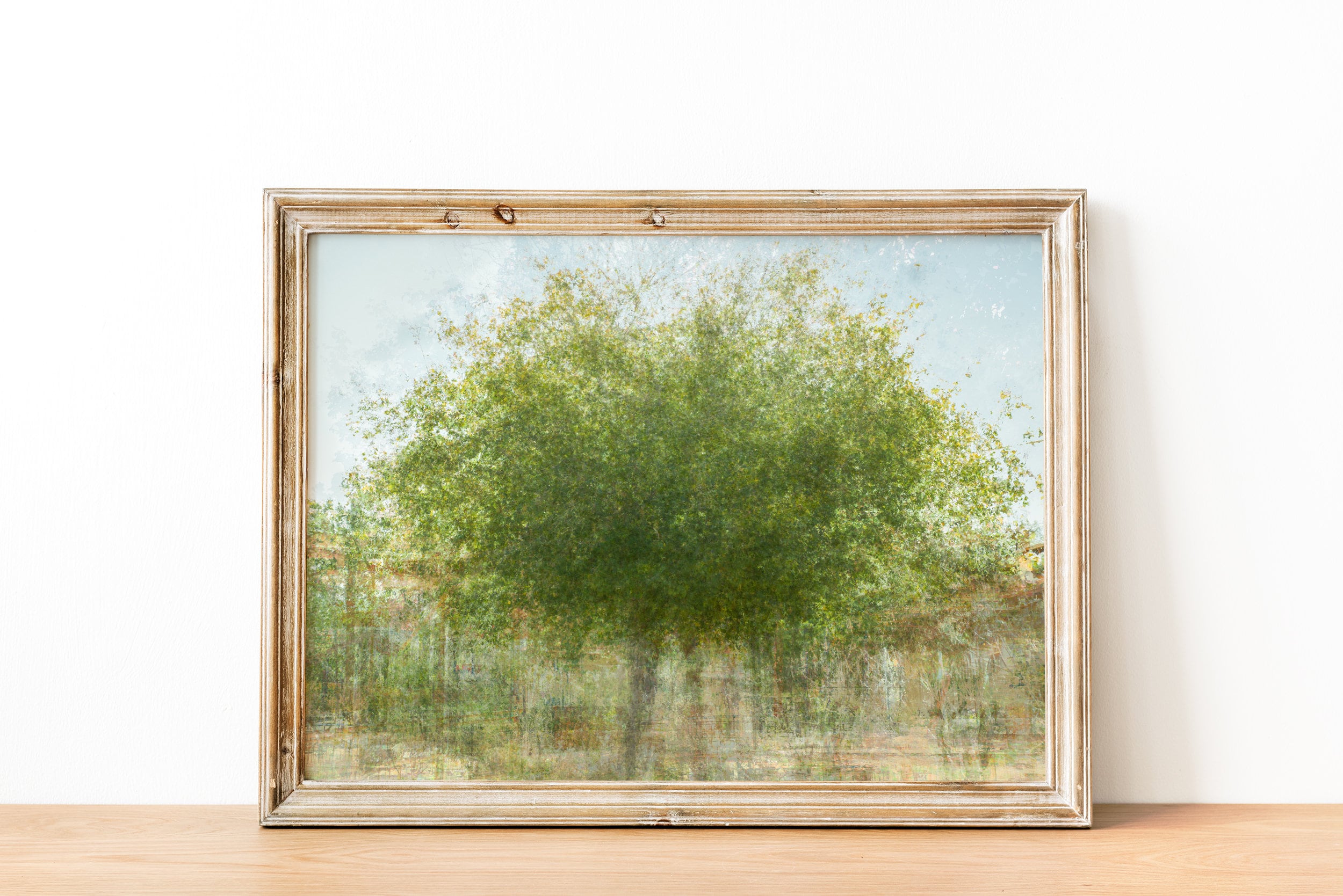 Green Carob Tree Impressionist Painting Canvas