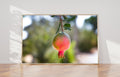 Israeli Pomegranate — Red Fruit of Israel — 7 species of Israel