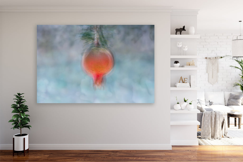 Holy Land Pomegranate Impressionist Painting — 7 species of Israel