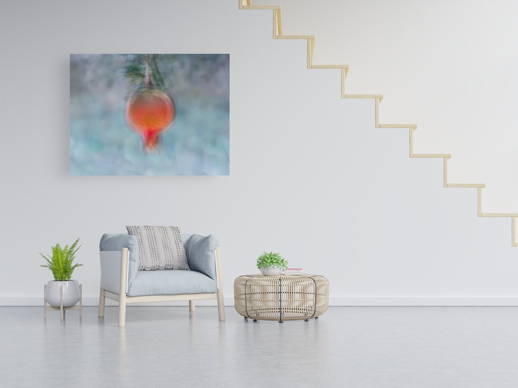 Holy Land Pomegranate Impressionist Painting — 7 species of Israel